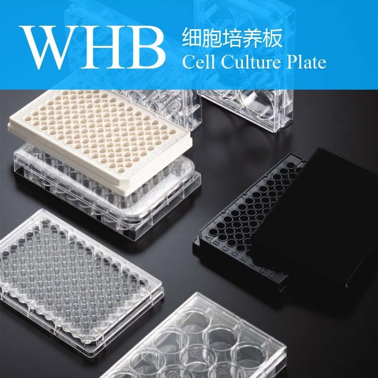 Plastic Cell Culture Plates